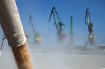 Объемы перевалки прорастают зерном